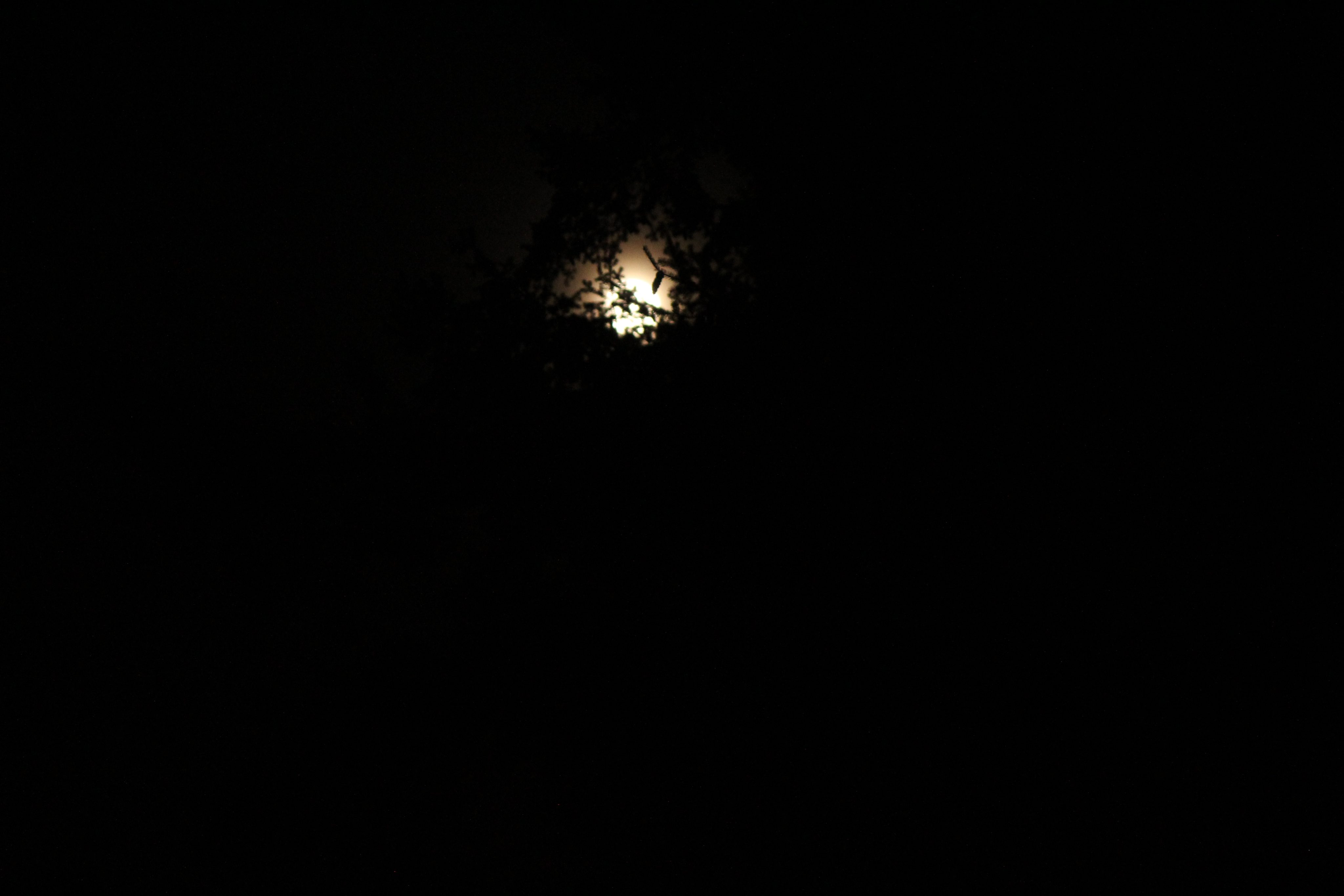 Micro Blue Moon : May 30 - 31, 2026